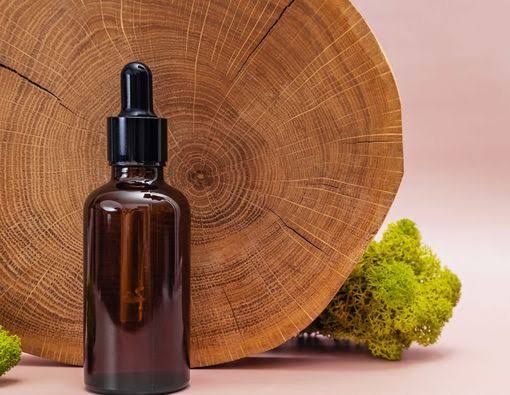 Minyak bulus asli untuk kesehatan